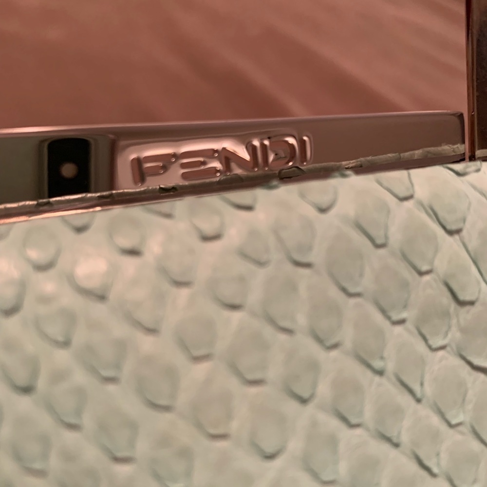 Fendi Python Frame Clutch - image 3